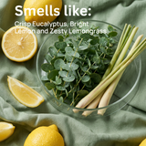 EUCALYPTUS CITRUS