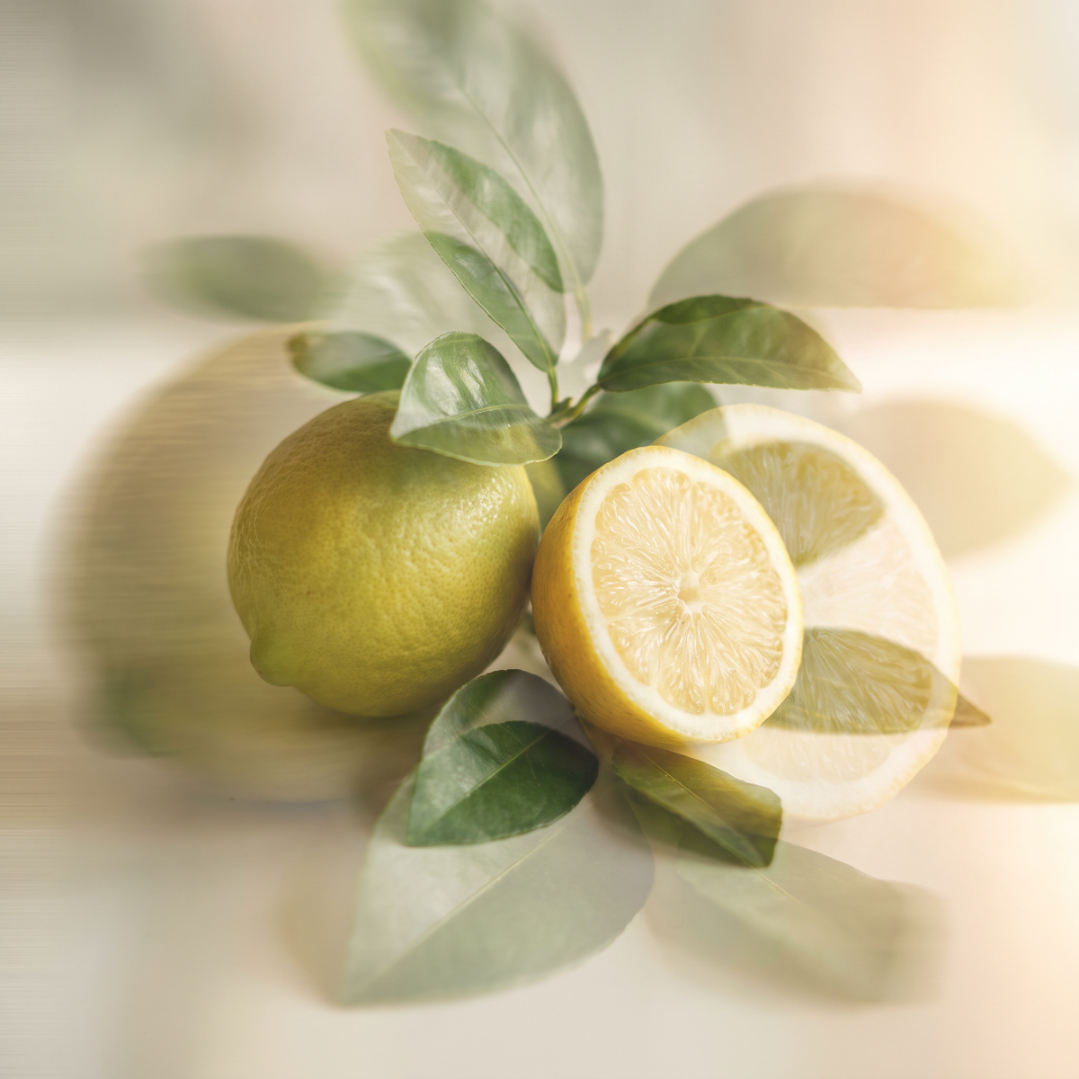 Fresh Spa-Inspired Scents